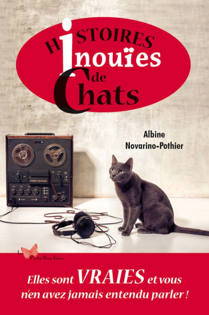 couverture livre histoires inouIes de chats